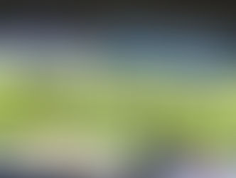 Musonda earns young Blues a point against experienced Everton