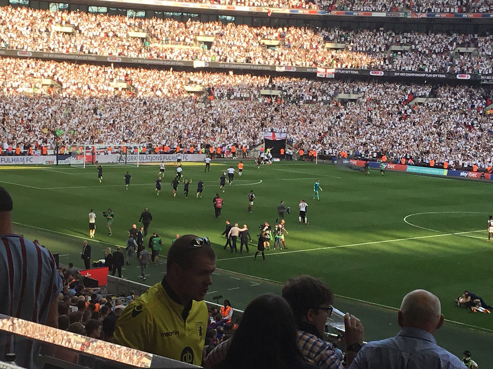 Fulham are in the Premier League Photo by Paul Lagan