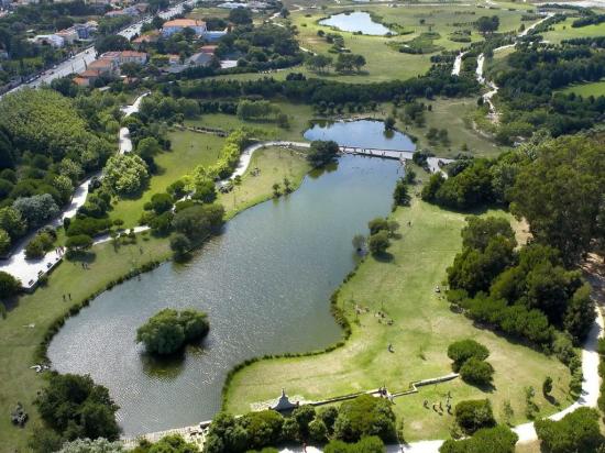 Exploring Nature in Porto: From Beaches to Parks