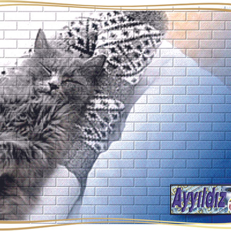 İzolasyon Nedir? İzolasyon Yaptırmanın Faydaları Nelerdir?