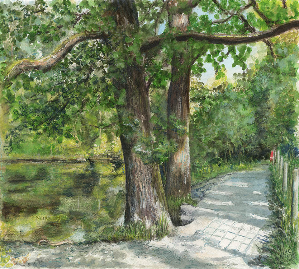 River Kent - Oak and Fence Shadow