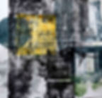 Fish out of Water paper lithograph 