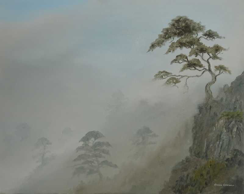 Trees In The Mist