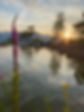 IMG_3008.jpeg