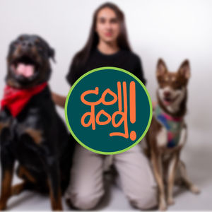 Coll.Dog! - Direção Criativa