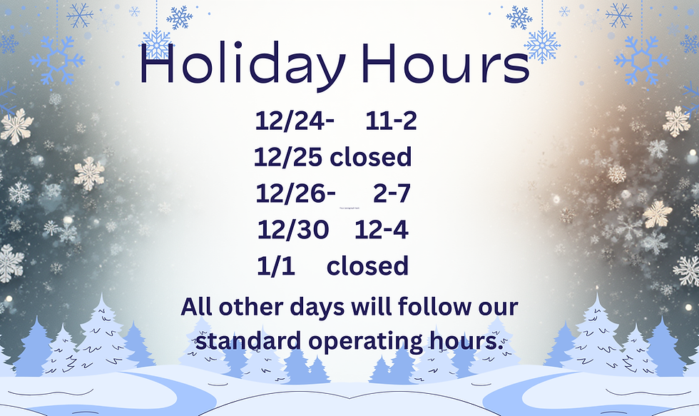 Blue Modern Winter Sale Banner Landscape (1).png