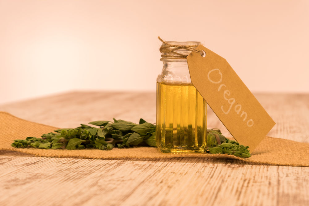 All About Oregano Essential Oil for Chickens