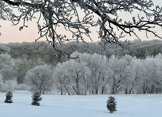 winter landscape in Minnesota