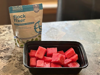 flock fixer and watermelon in a container on the counter