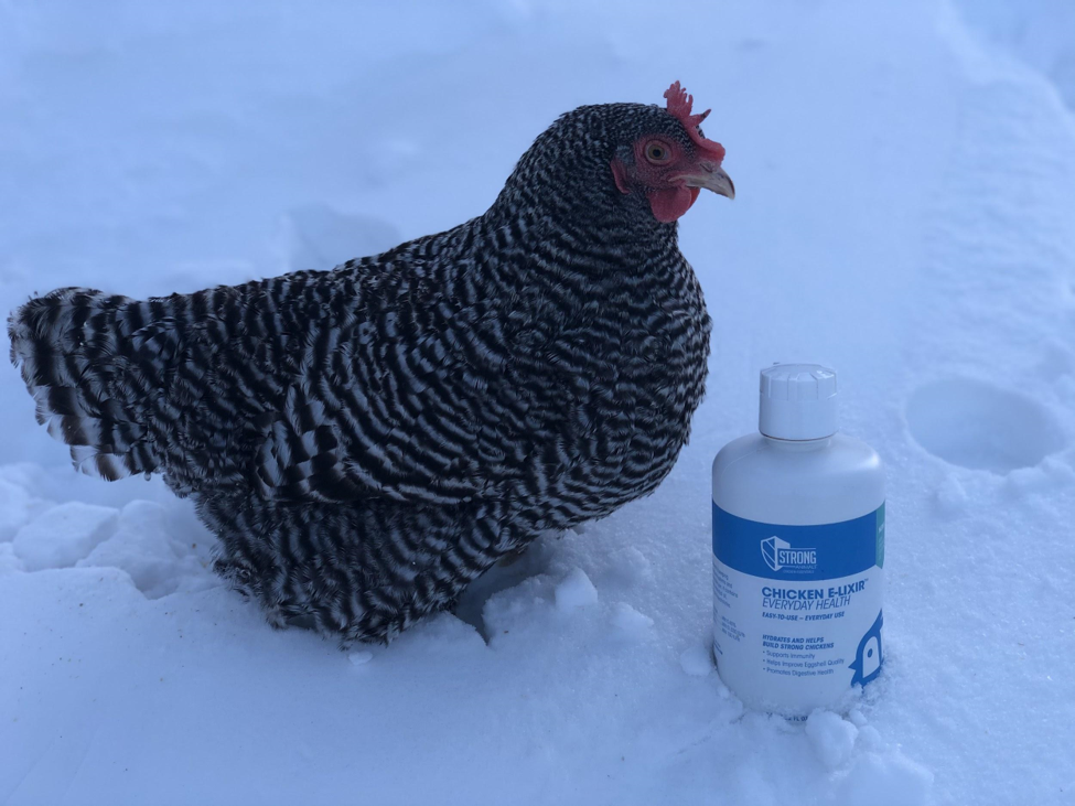 Take Your Daily Vitamin & Your Chickens Too!