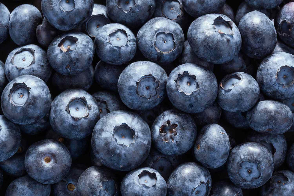 close up of blueberries