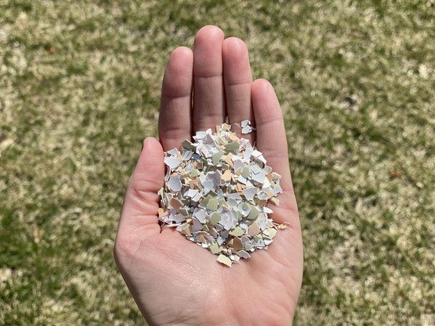 Crushed chicken eggshells held in a hand