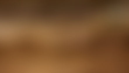 Keep Coccidiosis from Disrupting Flock Performance