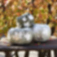 Silver Leaf Pumpkins