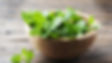 Mint in a bowl
