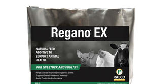 Research Shows Regano® EX Improves Growth Performance & Meat Quality in Broilers During Coccidiosis 