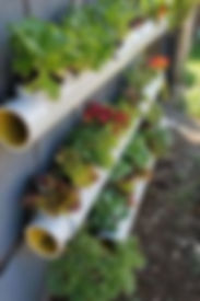 PVC Pipe Planters