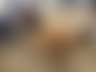 Keep Flies Away from Your Chicken Coop