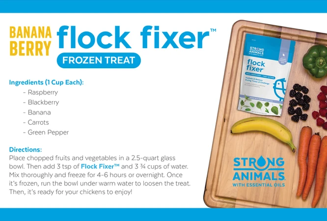 Flock Fixer Frozen Treat recipe for chickens - Banana Berry