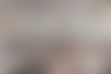 How Ingredient Availability and Pricing Can Impact Your Swine Nutrition Plan