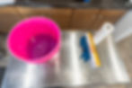 tools needed for chicken necropsy and a pail of soapy water to dip the birds