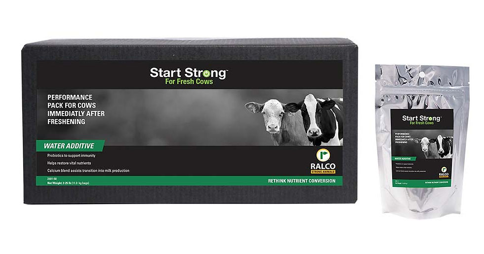 Start Strong for Fresh Cows packaging. A natural performance pack for cows that supports appetite after calving