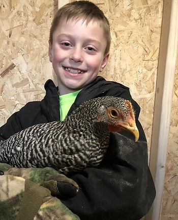 Little boy holding chicken