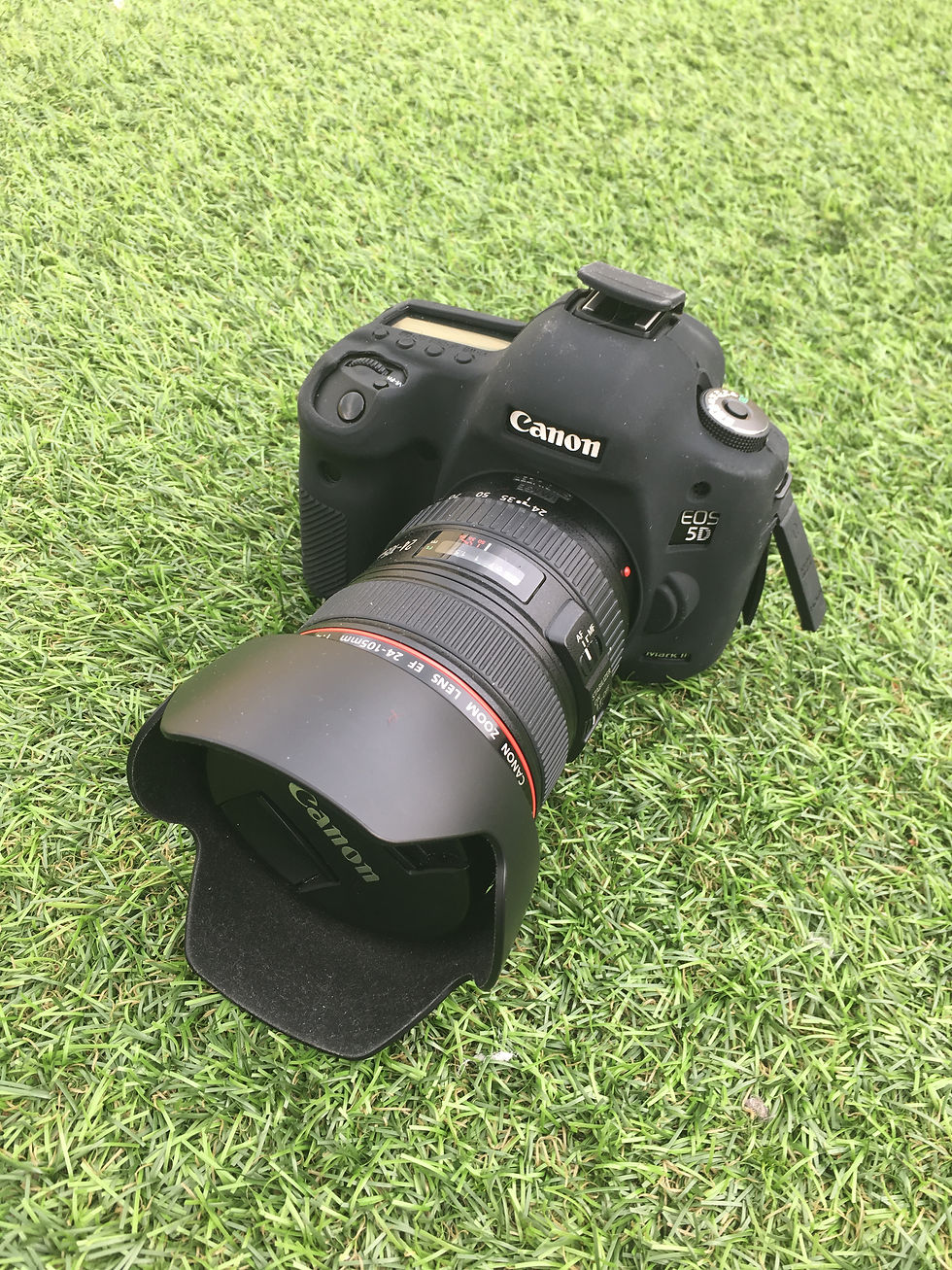 Canon DSLR