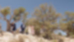 Wedding guests at Arizona elopement at Grand Canyon