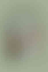 Green graphic with text reading why you should book a documentary style wedding videographer