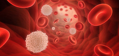 Leukemia cell in blood