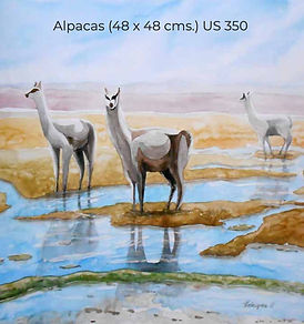 Alpacas._edited.jpg