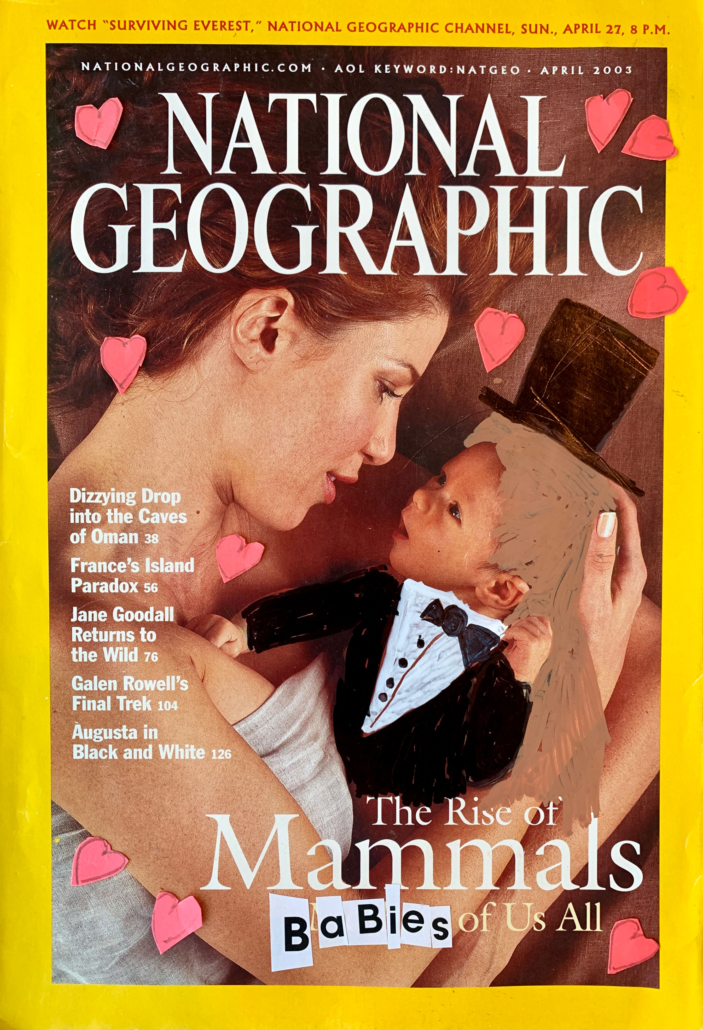 "National Geographic (The Rise of Mammals)" by Henry McDonald