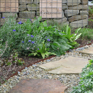 Stepping stone path with planted border and gabion stone basket