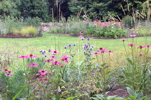 Naturalistic Planting Gloucestershire3.1.jpeg