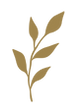 01 (2).png