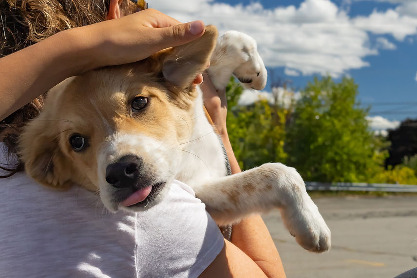 Finals_Transport 9-8-24-19.jpg