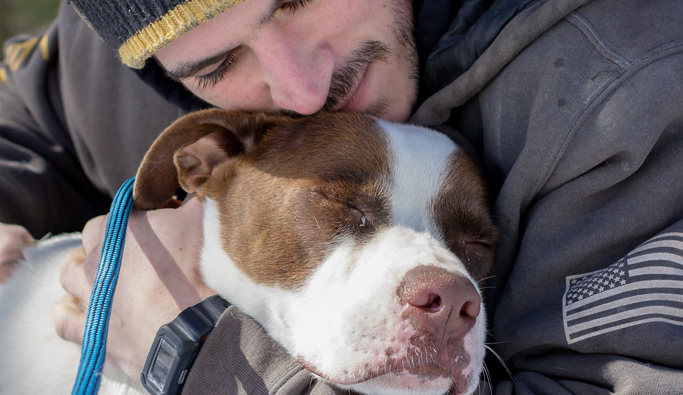 Teddy Bear and Elsa (19 of 22)_edited.jpg