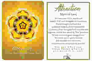 Mystical Law Soul Card
