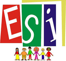 De qué hablamos cuando hablamos de ESI