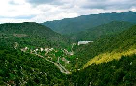 Ер участкаси нима?