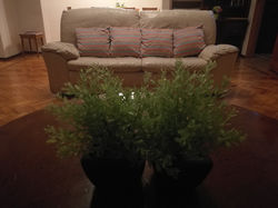 Sala de estar da UPRO