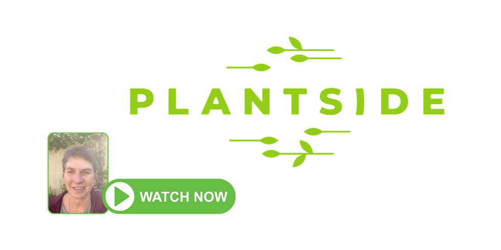 Anna from Plantside