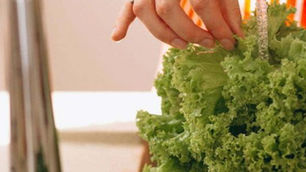 Food Safety Consultants UK: Why the Right Partner Can Make All the Difference When Working Towards SALSA Accreditation