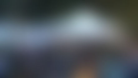 De la tierra a la mesa: feria saludable