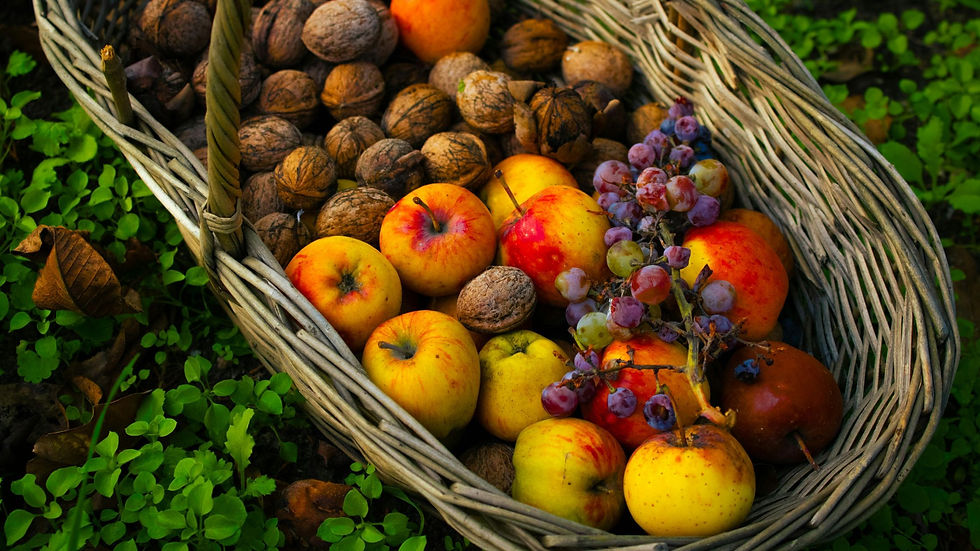 Pictured a farm basket of fresh fruit and nuts