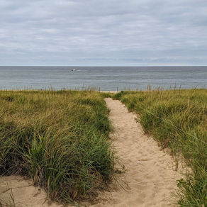 Dunes over looking the Atlantic ocean