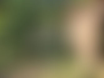 【湄林蒙占山1】飛車越叢林 雙輪走鋼索 網床Cafe觀瀑布