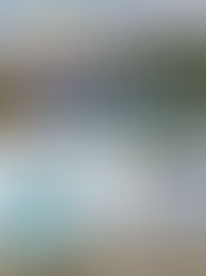 初雪前一日 秘境原色彩 立山風起雲湧時