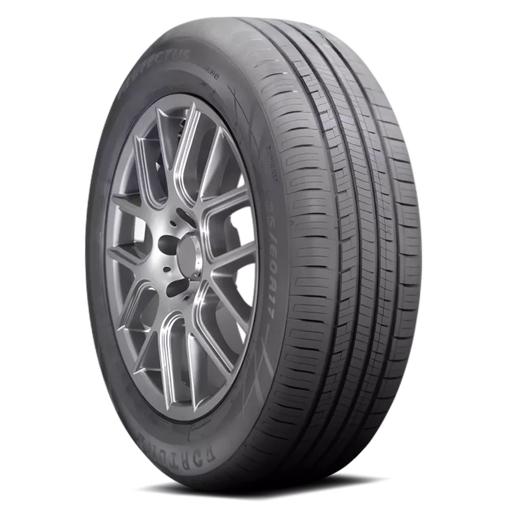 205/55R16-XL 94V FORTUNE PERFECTUS A/S FSR602 BLK Part Number: 3521030703